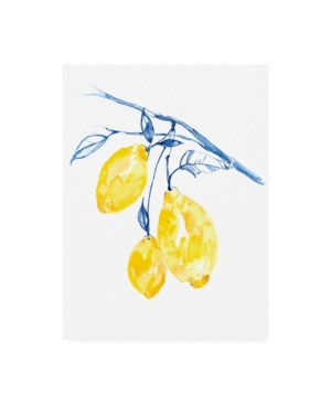Trademark Global Jennifer Goldberger Watercolor Lemons Ii Canvas Art In Multi