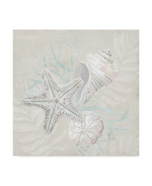 June Erica Vess Weathered Shell Sketch I Canvas Art - 15