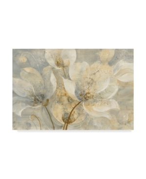 Albena Hristova Garden Whispers Canvas Art - 20