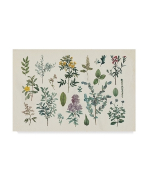 Wild Apple Portfolio Victorian Garden Iv Canvas Art - 20