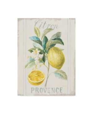Trademark Global Danhui Nai Floursack Lemon Iv V2 Canvas Art In Multi