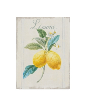 Trademark Global Danhui Nai Floursack Lemon Iii V2 Canvas Art In Multi