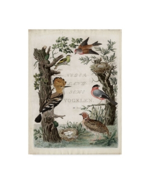 Trademark Global Nozeman Woodpecker Sanctuary Canvas Art In Multi