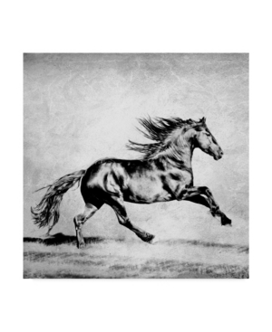 Trademark Global Ph Burchett Black And White Horses Ii Canvas Art In Multi