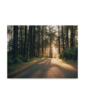 Trademark Global Adam Mead Pacific Northwest Oregon Iii Canvas Art In Multi