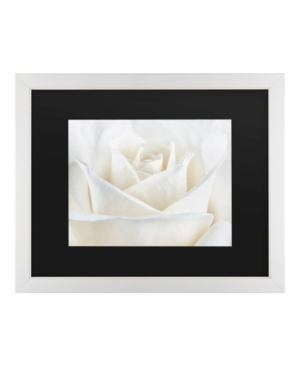 Trademark Global Cora Niele Pure White Rose Matted Framed Art In Multi