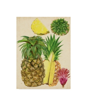 Trademark Global Melissa Wang Tropical Pineapple Study I Canvas Art In Multi