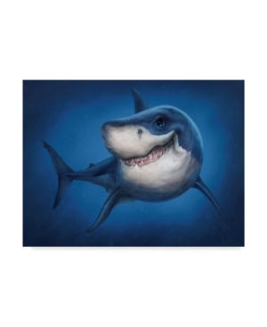 Patrick Lamontagne Shark Totem Canvas Art - 20