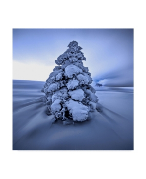 Philippe Sainte-Laudy And the Wind Blows Canvas Art - 15