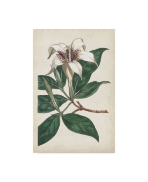 Curtis Ivory Garden I Canvas Art - 20