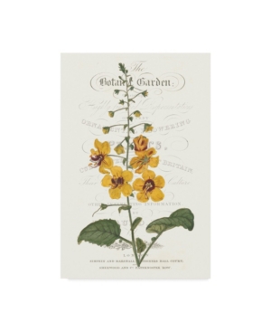 Vision Studio Flower Garden Varietals V Canvas Art - 20