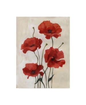 Trademark Global Emma Scarvey Poppy Bouquet Iii Canvas Art In Multi