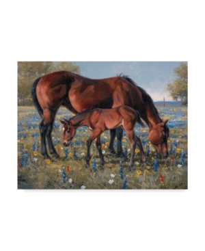 Trademark Global Jack Sorenson Wildflower Canvas Art In Multi