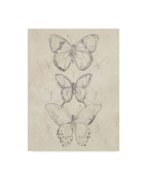 Trademark Global June Erica Vess Vintage Butterfly Sketch I Canvas Art In Multi