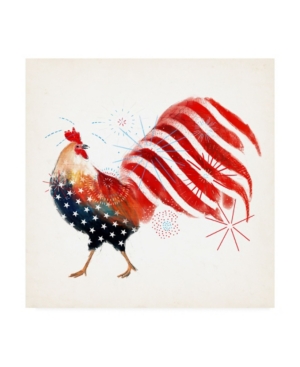 Trademark Global Victoria Borges Rooster Fireworks I Canvas Art In Multi