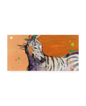 Trademark Global Kellie Day Zebra Orange Canvas Art In Multi