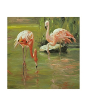 Trademark Global Chuck Larivey Flamingo Ii Canvas Art In Multi