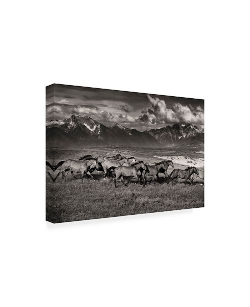 Trademark Global Lisa Dearin Mountain Range Mavericks Canvas Art