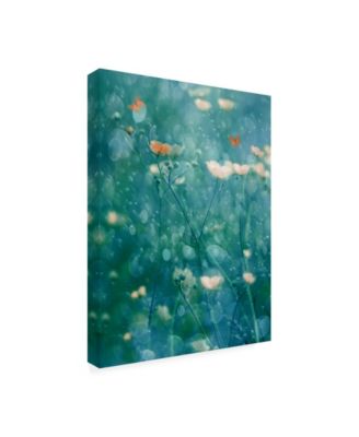 Trademark Global Delphine Devos A Memory of June Canvas Art - 20" x 25"