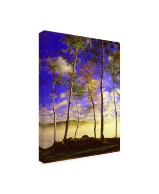 Trademark Global Monte Nagler Birch Trees and Mist Negaunee Michigan Canvas Art - 20" x 25"
