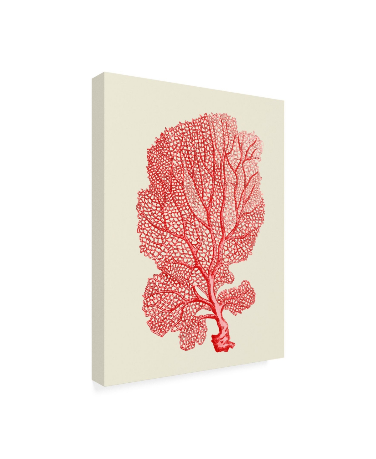 Fab Funky Red Corals 1 B Canvas Art -