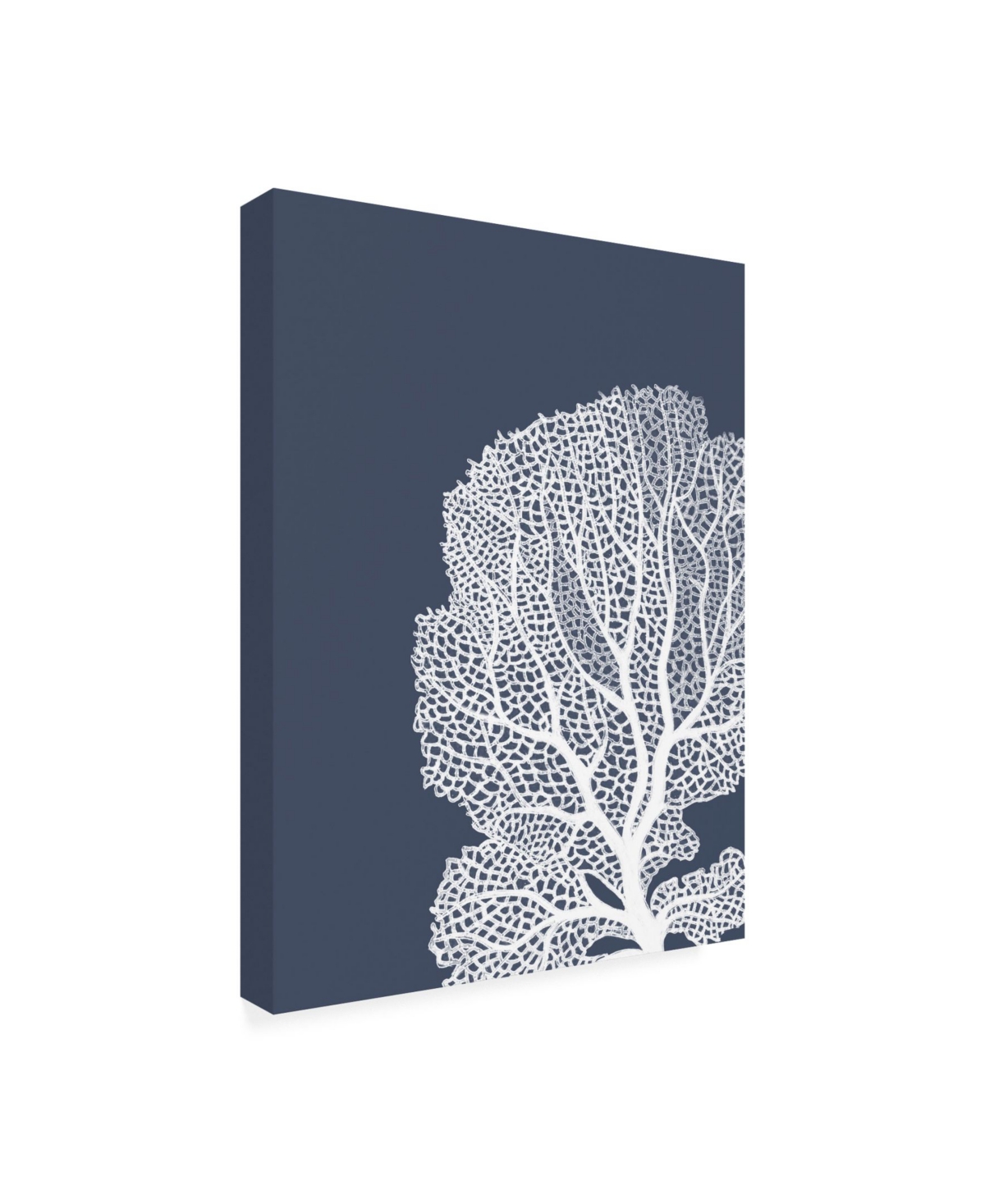 Fab Funky Corals White on Indigo Blue B Canvas Art -