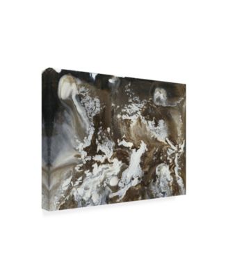 Trademark Global Lila Bramma Transmutation III Canvas Art - 19.5" x 26"