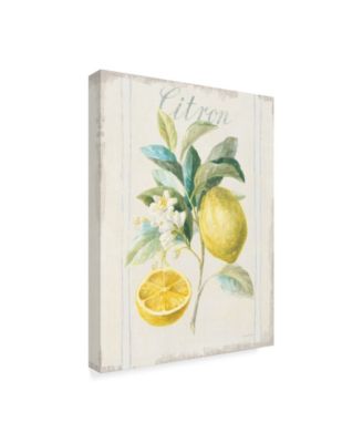 Danhui Nai Floursack Lemon IV V2 Canvas Art - 20" x 25"