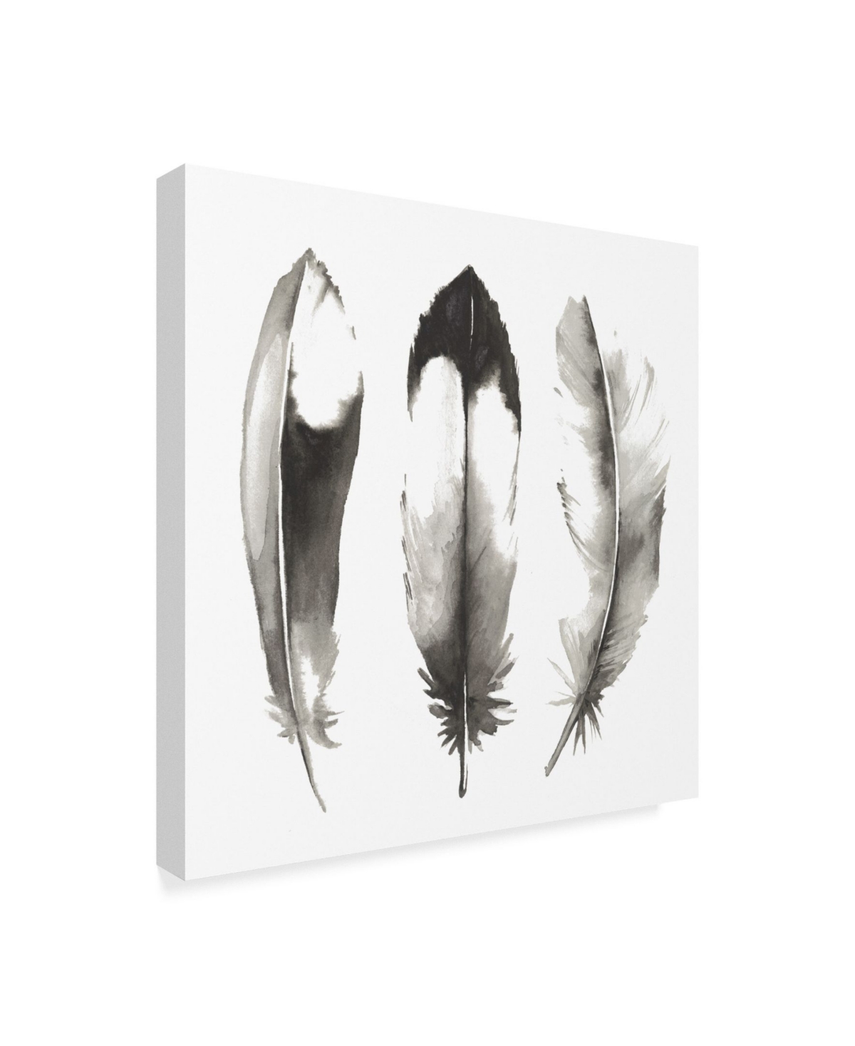 Grace Popp Watercolor Feathers Ii Canvas Art -