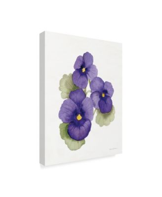 Trademark Global Kathleen Parr Mckenna Easter Blessing Flower IX Canvas Art - 20" x 25"
