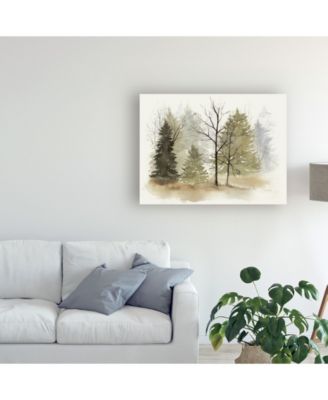 Trademark Global Grace Popp In the Mist I Canvas Art - 20" x 25"