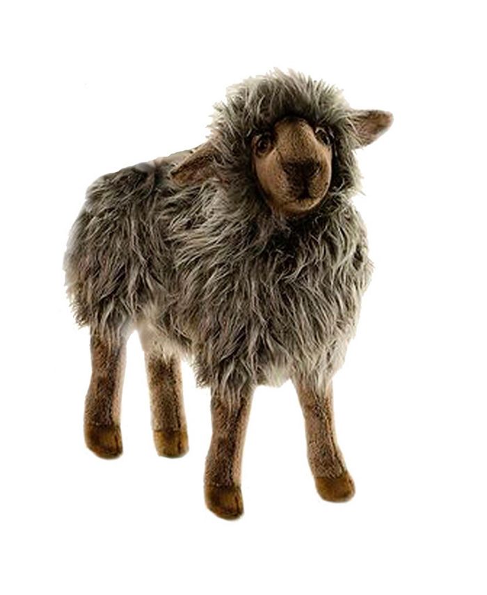 hansa sheep