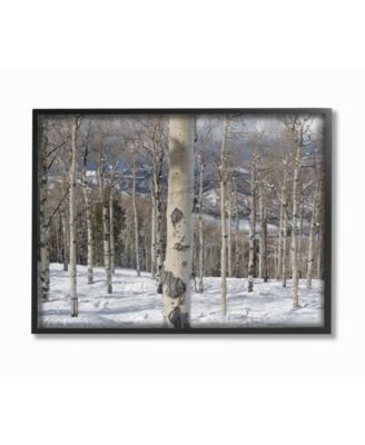Winter Birches Photography Framed Giclee Art, 16" x 20"