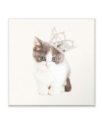 Kitten Royalty Wall Plaque Art, 12" x 12"