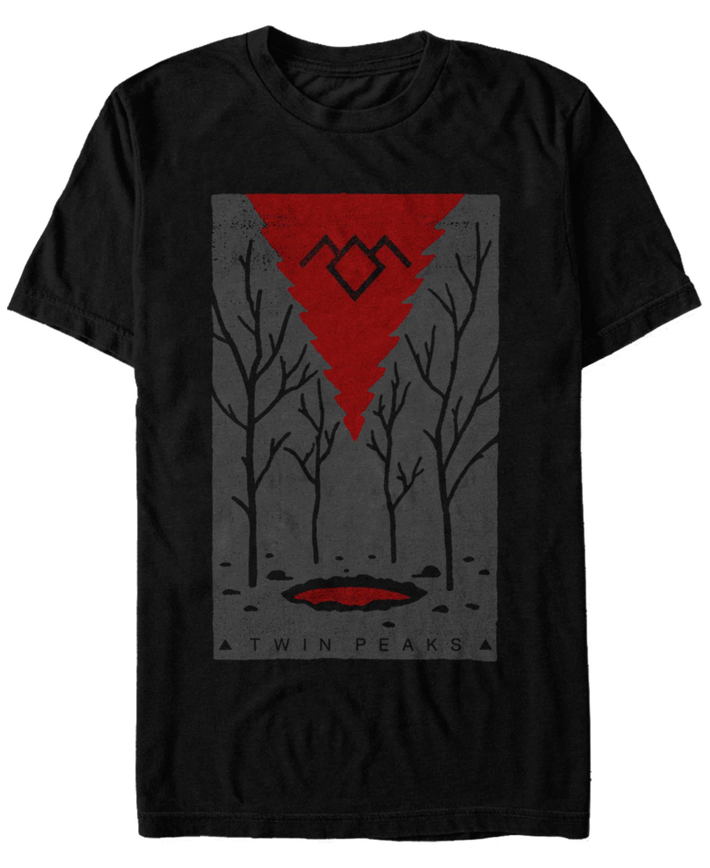 Мужская футболка Fifth Sun Twin Peaks Painted Entrance Short Sleeve, цвет: Чёрный — фото 1