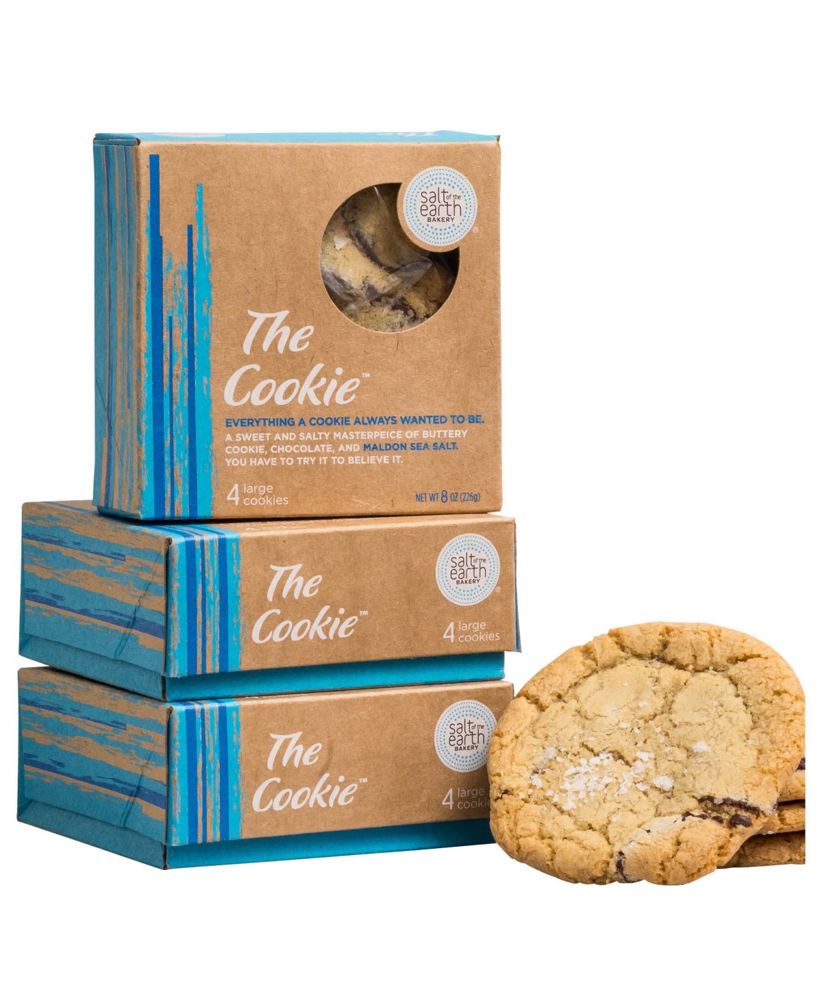 Salt Of The Earth Bakery The Cookie Chocolate Chip, 12 Piece In Turquoise