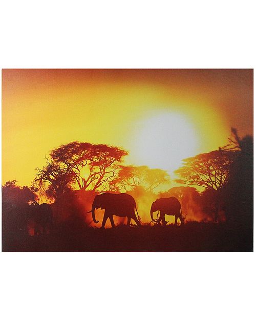 Northlight Safari Sunset Led Back Lit Decorative Elephant Canvas