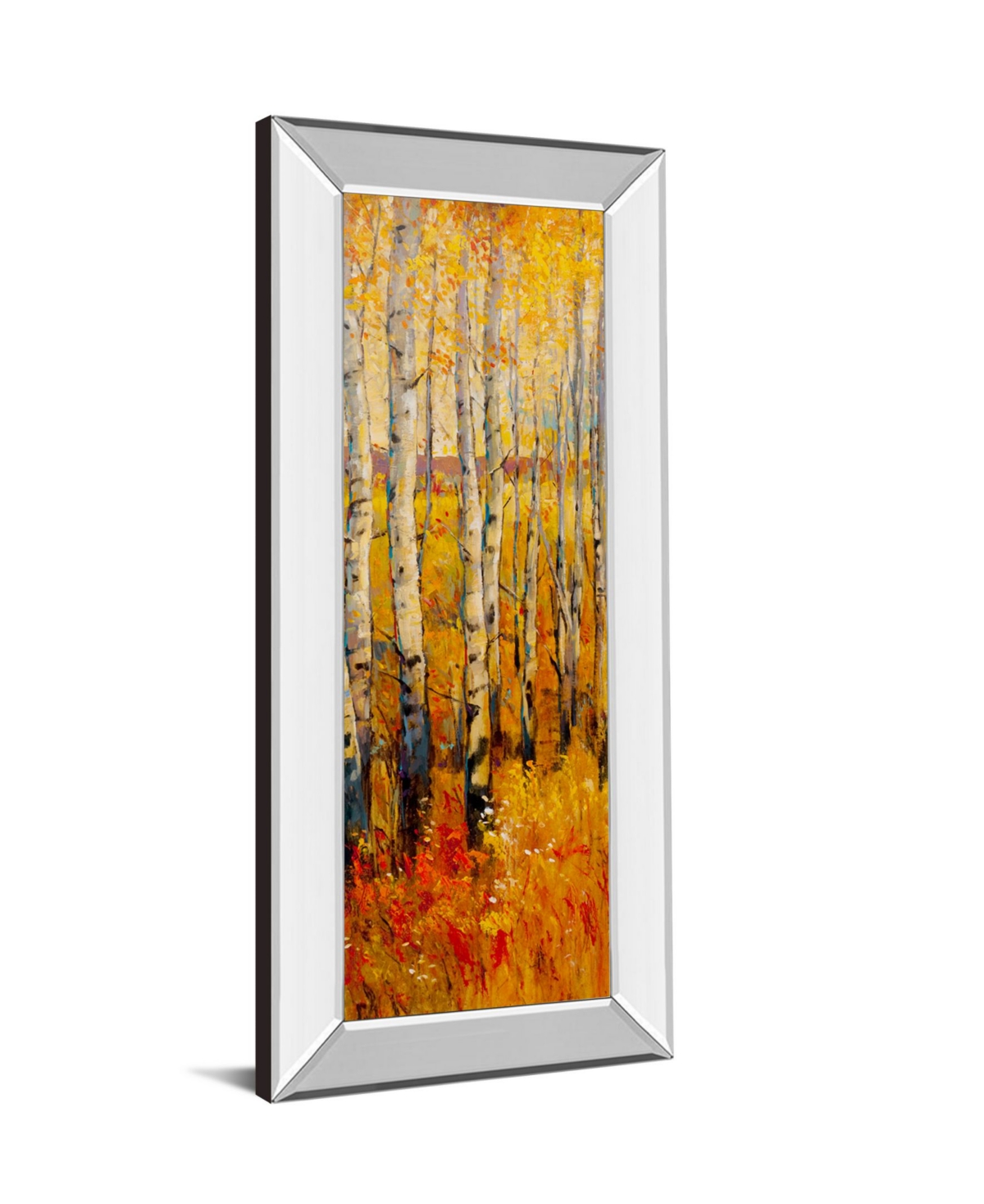Classy Art Vivid Birch Forest Il by Tim Otoole Mirror Framed Print Wall Art - 18