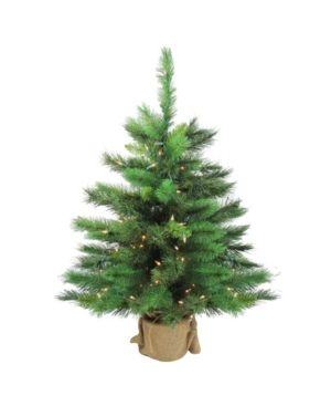 Northlight 36" New Carolina Spruce Artificial Christmas Tree In Burlap Base In Green