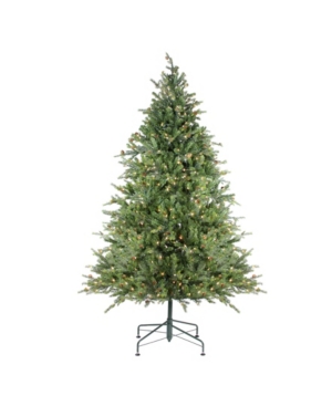 Northlight 75' Pre-Lit Hunter Fir Full Artificial Christmas Tree - Clear Lights