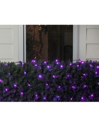 4' x 6' Purple LED Wide Angle Christmas Net Lights - Green Wire