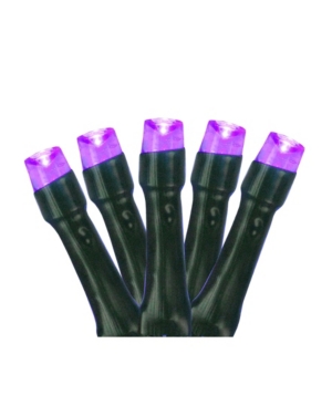 Northlight Set of 20 Battery Operated Purple Led Wide Angle Christmas Lights - Green Wire