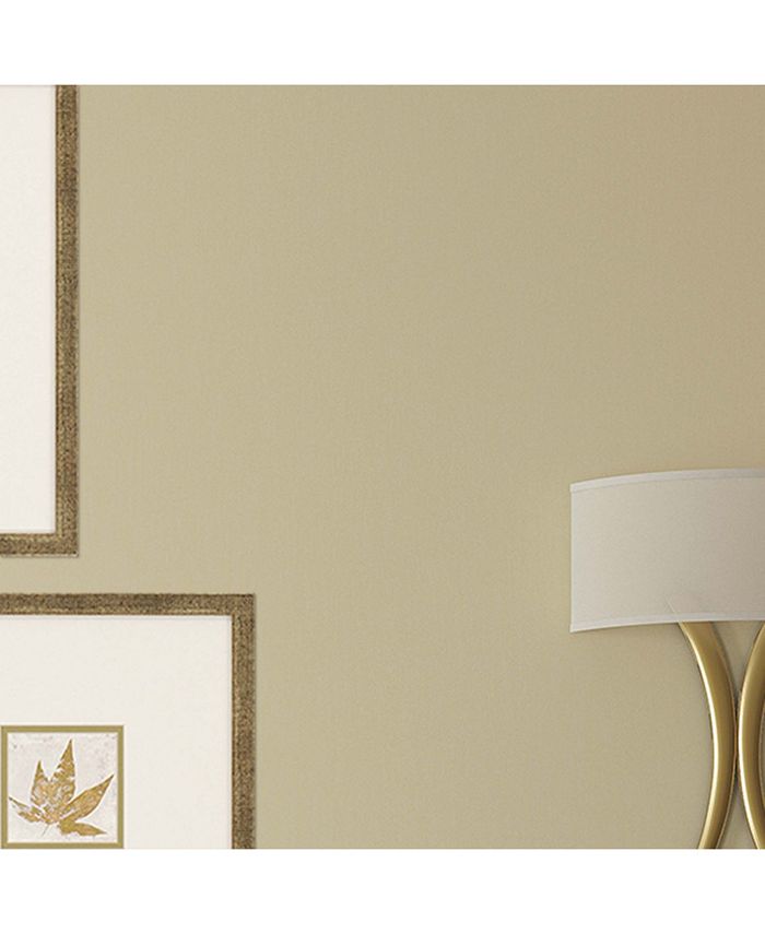 Paragon Picture Gallery Paragon Morphologies Framed Wall Art Set of 5