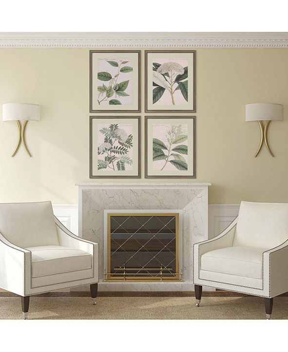 Paragon Picture Gallery Paragon Botanicals Framed Wall Art Set of 4, 22