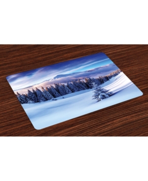 Ambesonne Winter Place Mats Set of 4