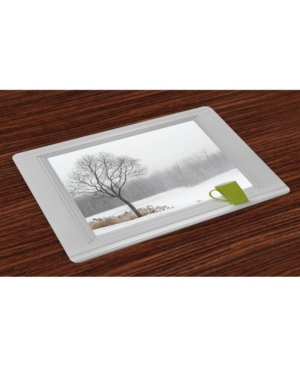 Ambesonne Winter Place Mats Set of 4