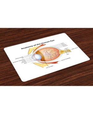 Ambesonne Educational Place Mats Set of 4