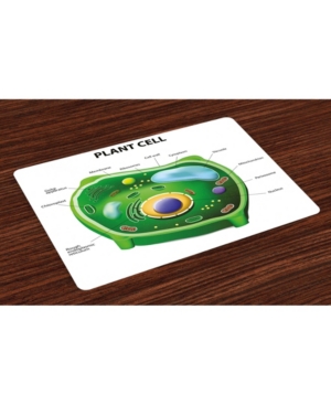 Ambesonne Educational Place Mats Set of 4