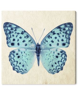 Blue Butterfly Canvas Art, 16" x 16"