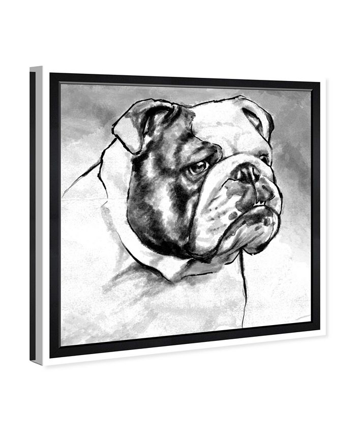 Oliver Gal English Bulldog Canvas Art, 43" x 43" Macy's